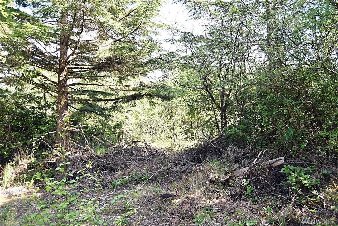 4 Cooper - Photo 1