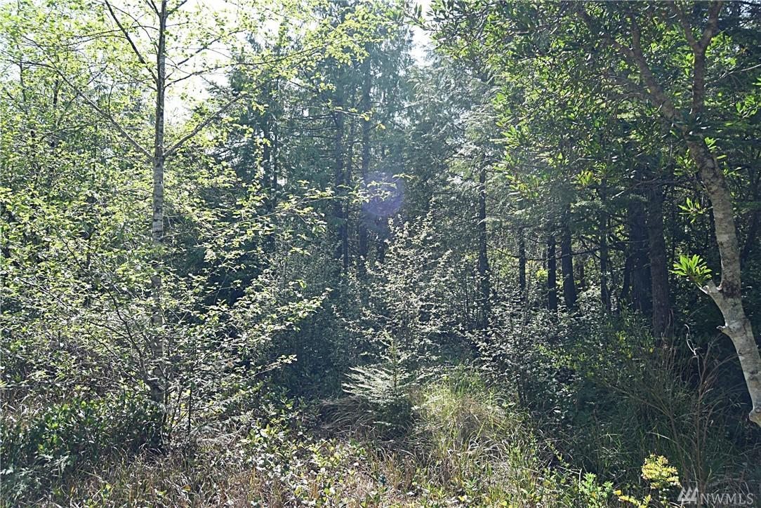 5 Cooper - Photo 1