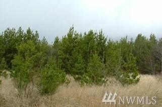 306-Lot 2 7th St - Photo 1