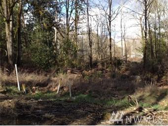 0 Lot 9 Michigan St - Photo 1