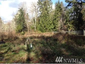 0 Lot 13 Michigan St - Photo 1
