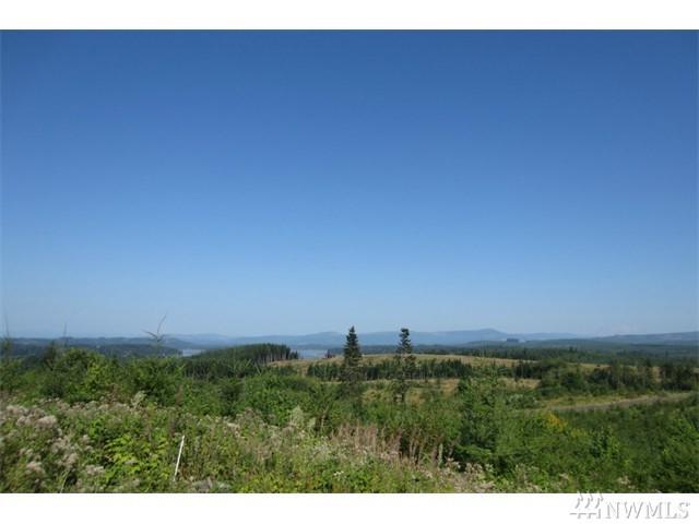 0-Lot 9 Silver Ridge - Photo 1