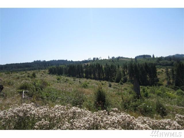 0-Lot 27 Silver Ridge - Photo 1