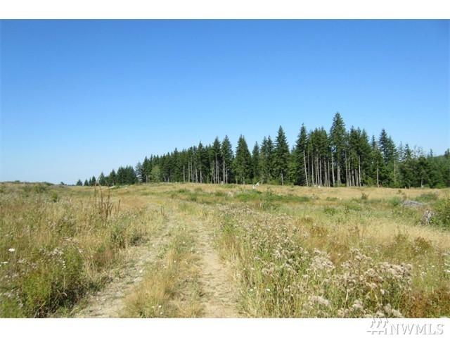 0-Lot 35 Silver Ridge - Photo 1