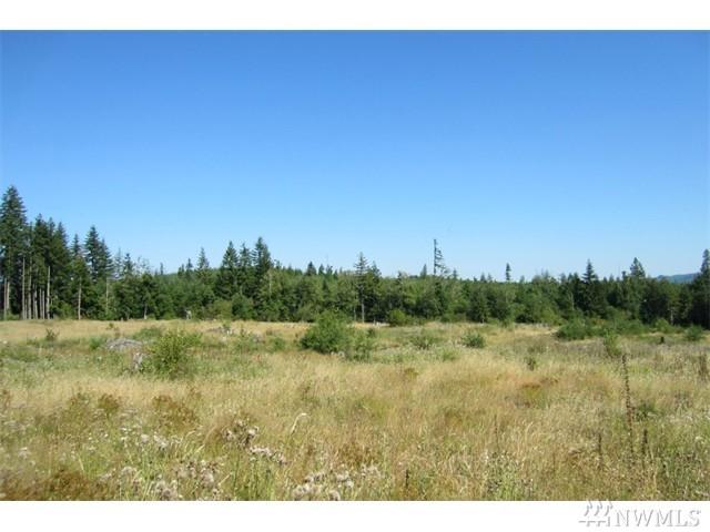 0-Lot 37 Silver Ridge - Photo 1