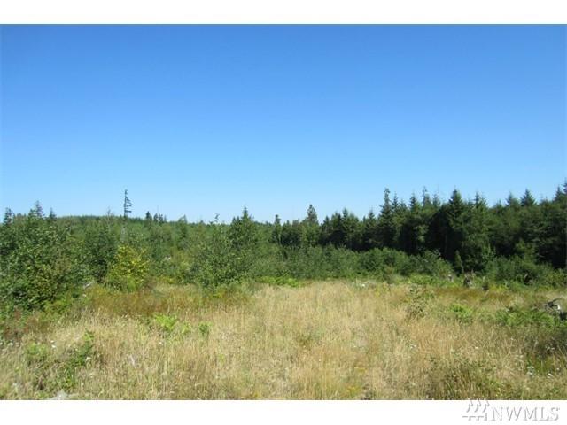 0-Lot 40 Silver Ridge - Photo 1