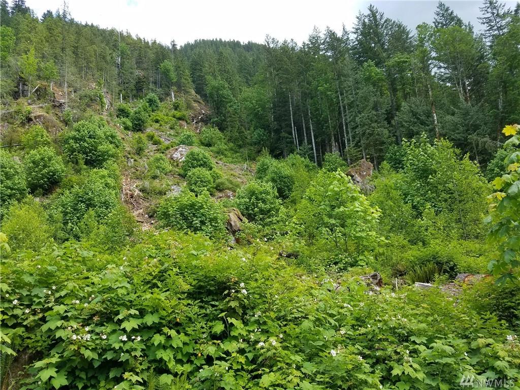 16327 Index Galena Rd - Photo 1