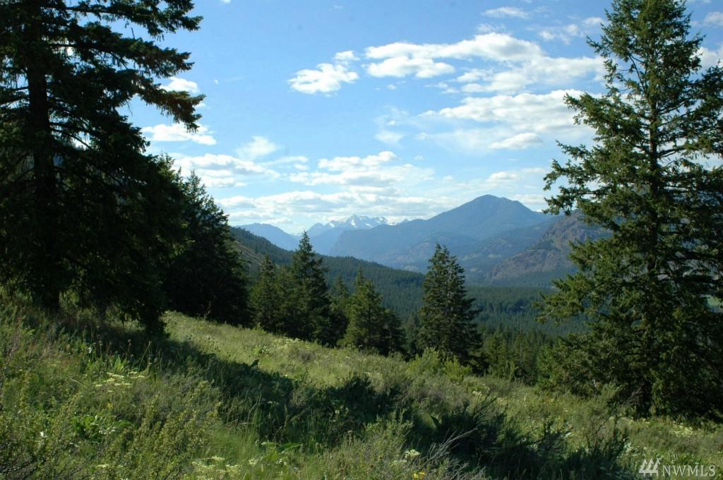 1-X Wolf Creek Rd - Photo 1