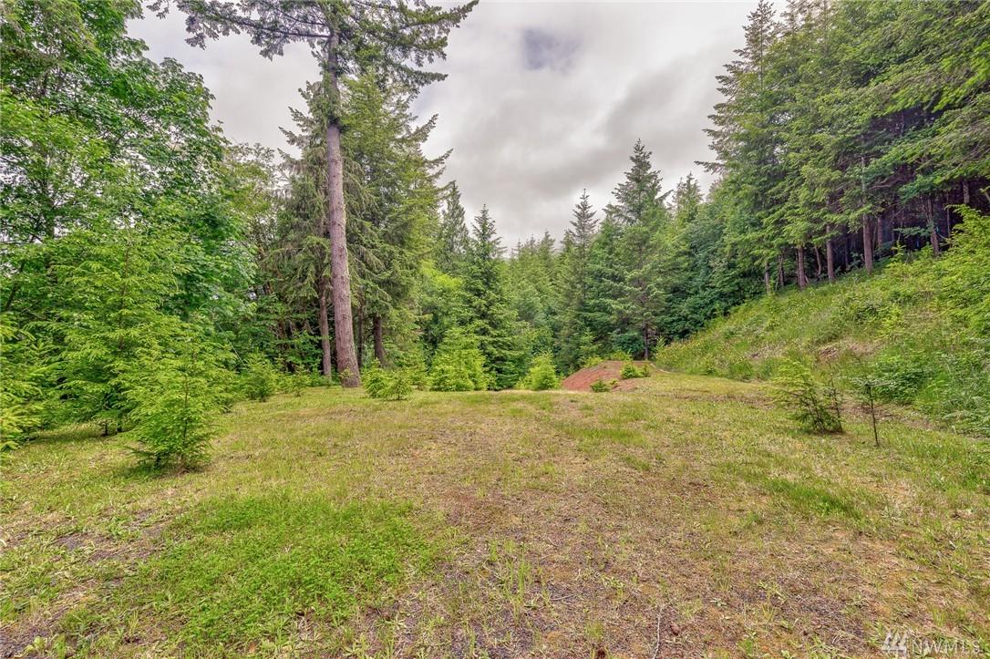 746 Germany Creek Rd - Photo 1
