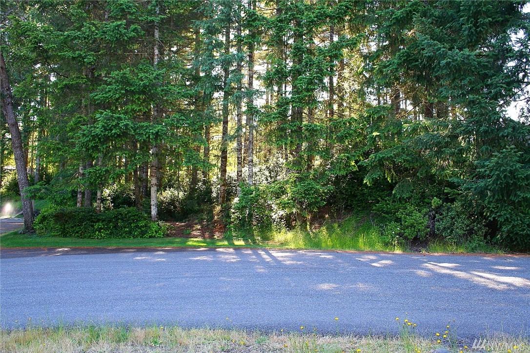 351 Michelle Dr - Photo 1