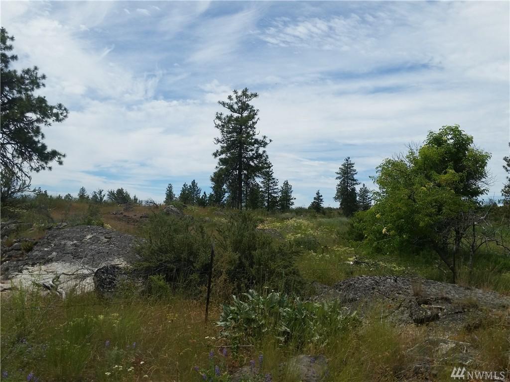 0-TBD Cameron Lake Loop Rd - Photo 1