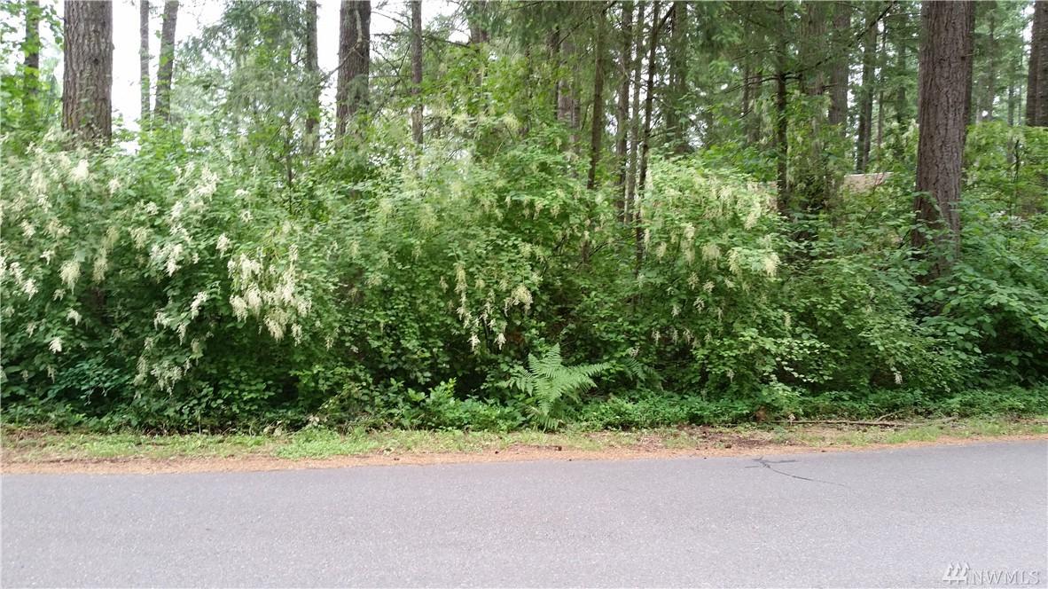 14930 Clearland Blvd - Photo 1