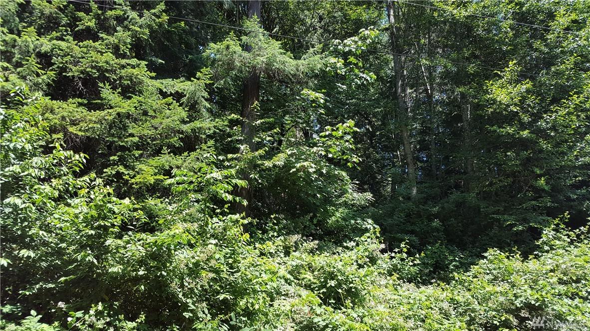 430-W Wood Lane - Photo 1
