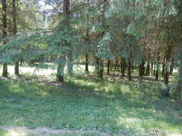 3 21st Ave - Photo 1