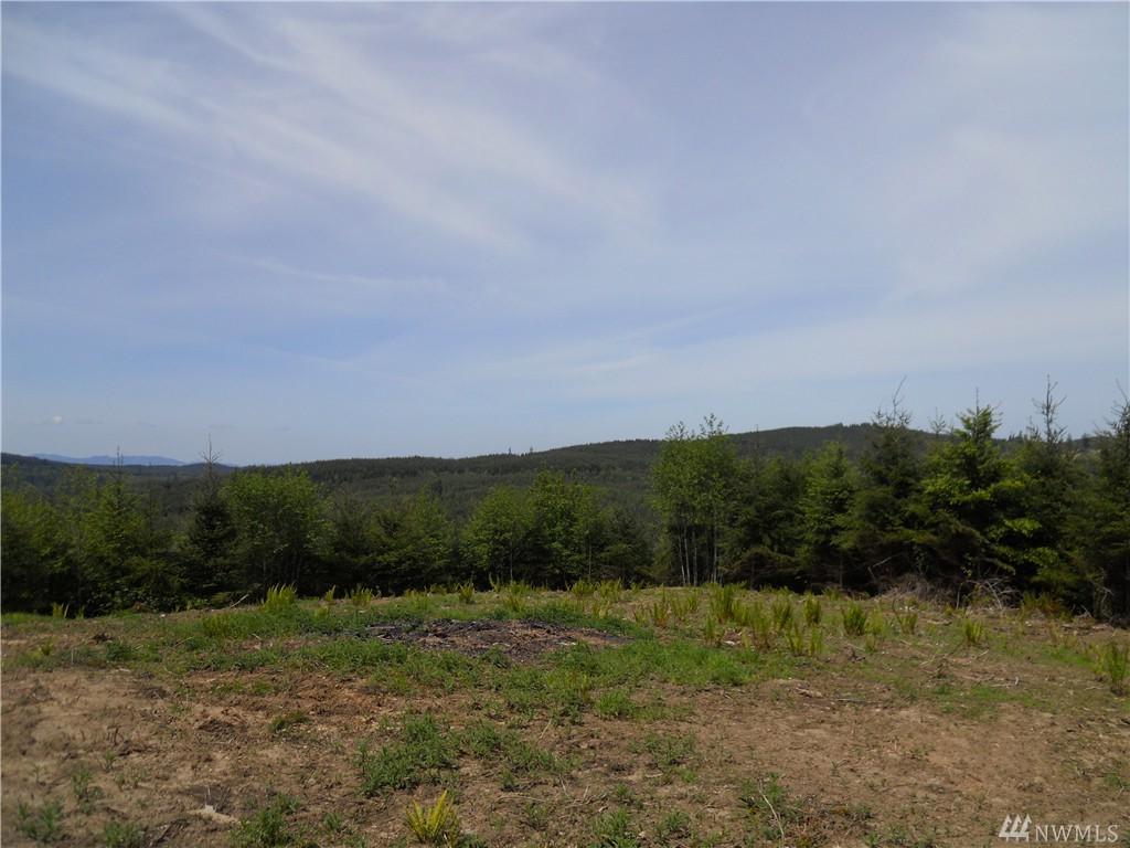 0 152nd Lane - Photo 1