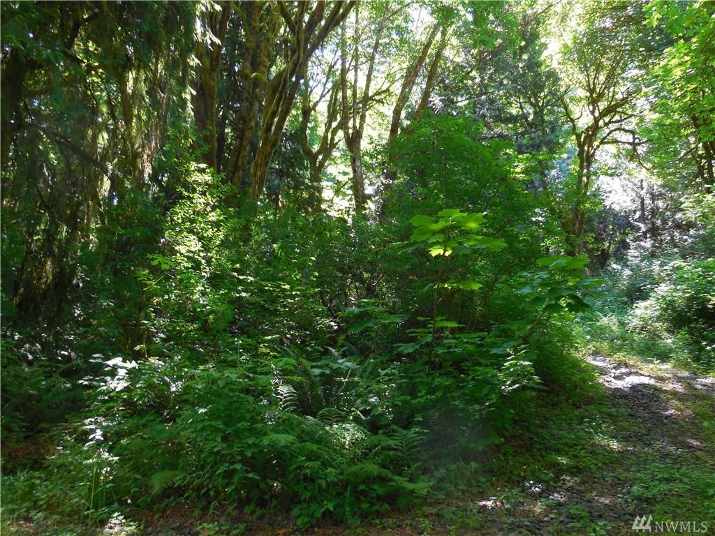 801 North Bay Rd - Photo 1