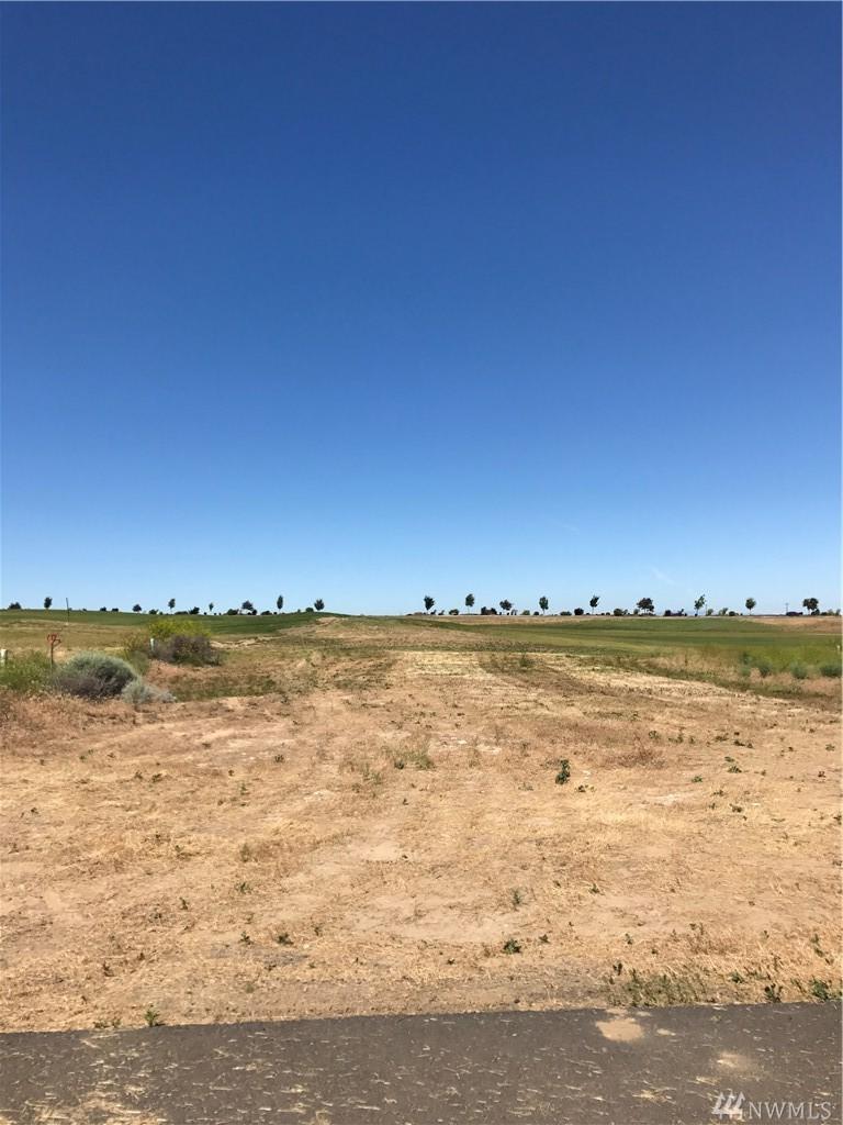 6549 Hwy 262 - Photo 1