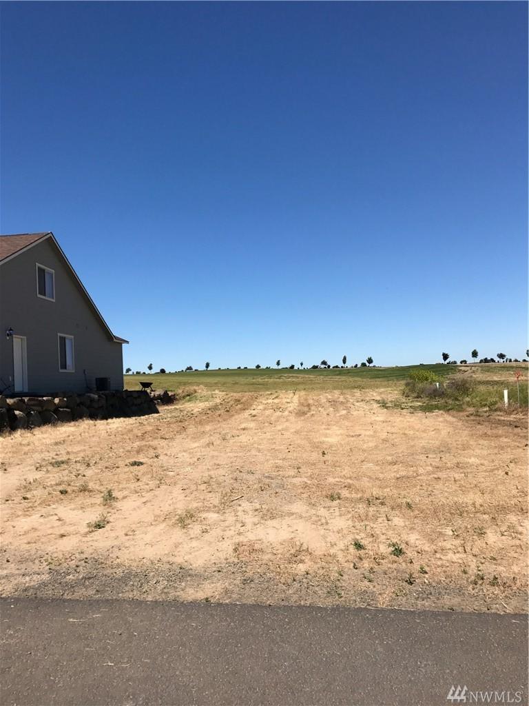 6549 Hwy 262 - Photo 1