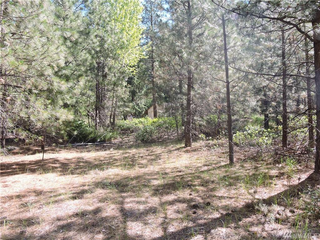0 Tyee Dr - Photo 1