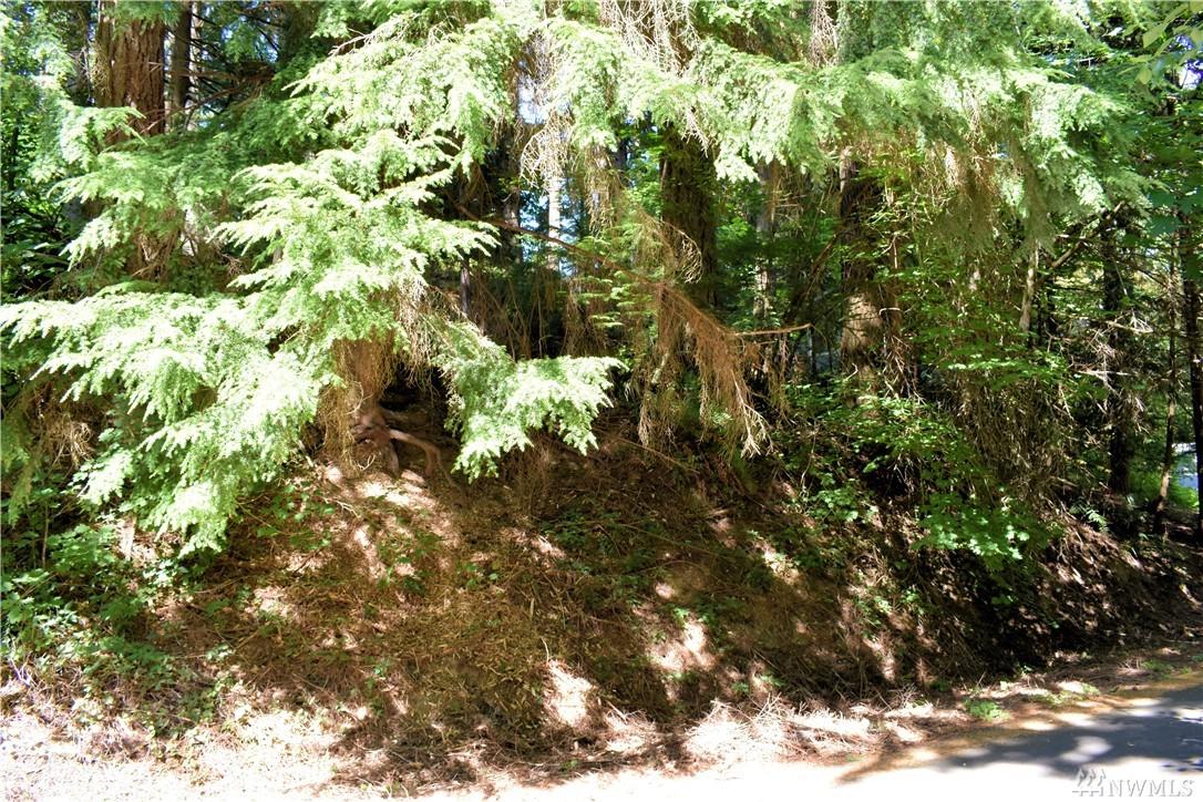 22 Austin Creek Lane - Photo 1