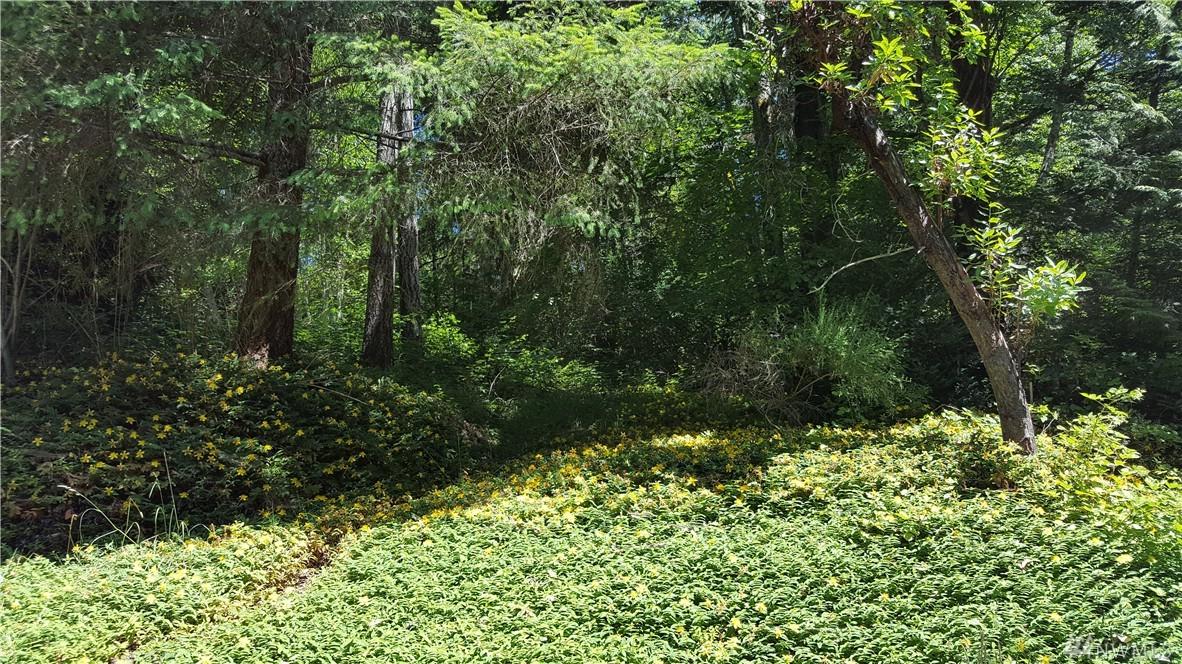 17-Lot Panorama Dr - Photo 1