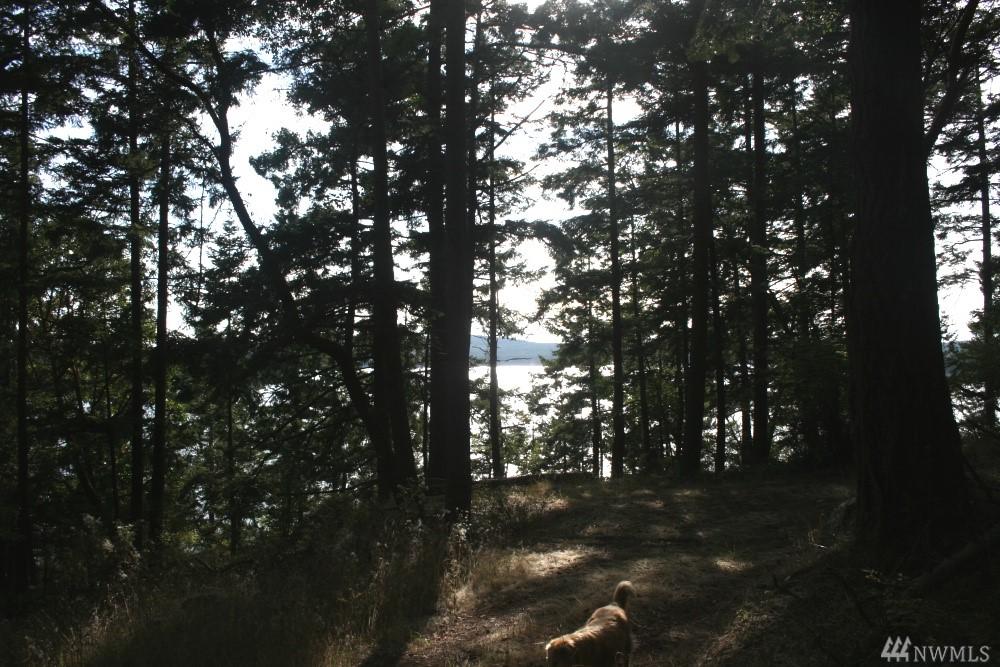 43 Reed Bay Rd - Photo 1