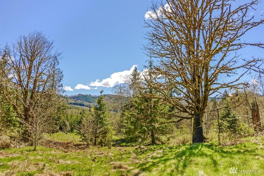 0 Lutkins Rd - Photo 1
