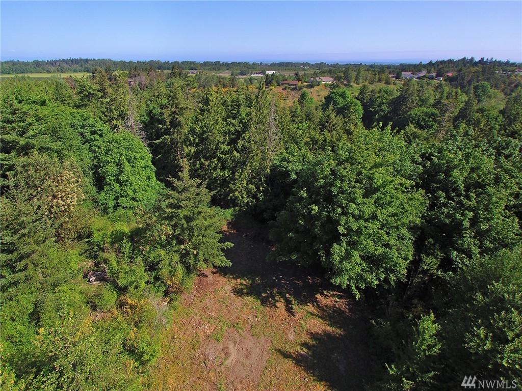 0-Lot 3 Cougar Heights Drive - Photo 1