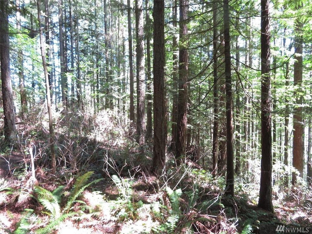 0-XXX Ohop Valley Extension Rd - Photo 1