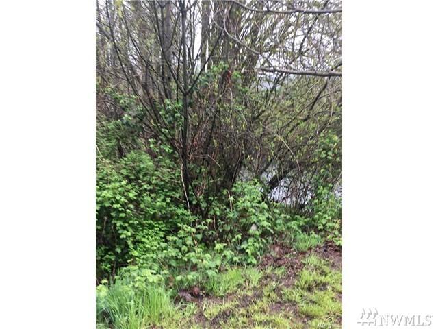 117 Bunker Creek Rd - Photo 1