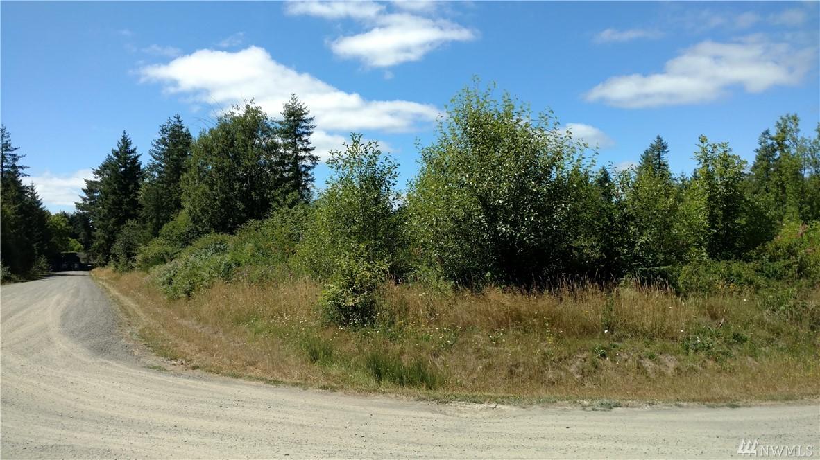 425 Brim Rd. - Photo 1