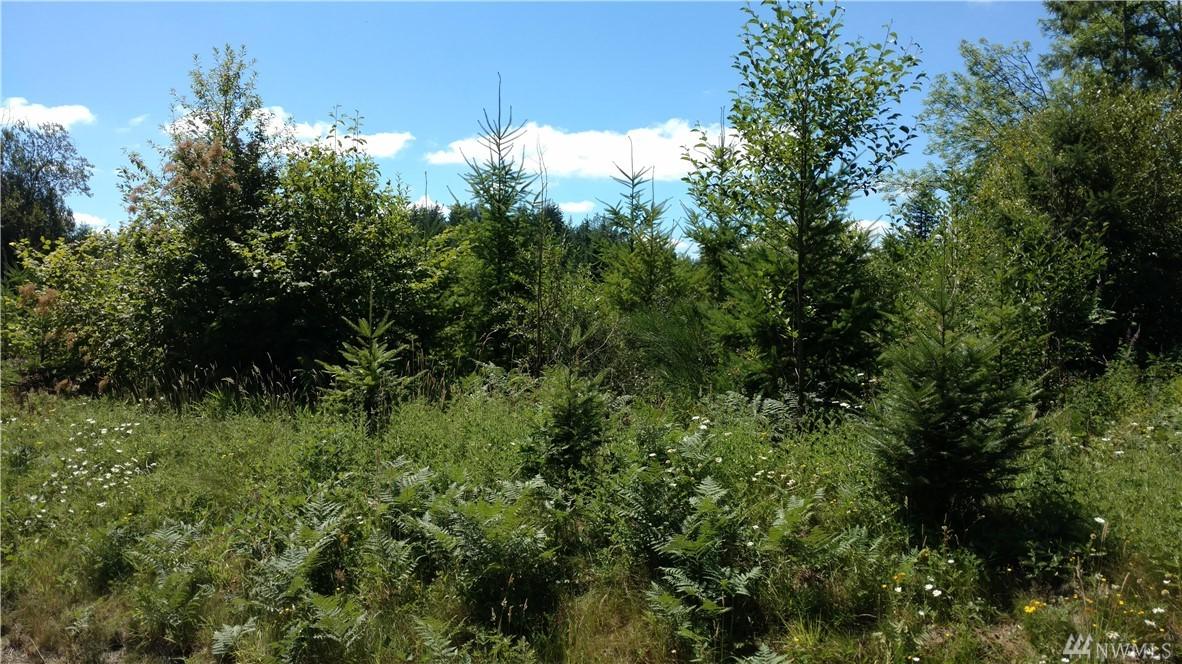 423 Brim Rd - Photo 1
