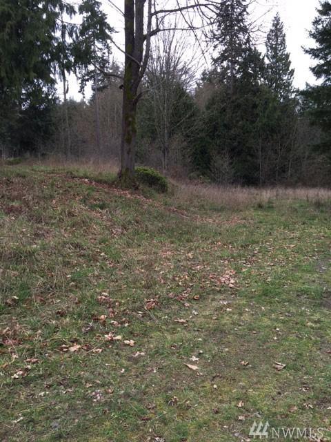 1212 Hwy 101 - Photo 1