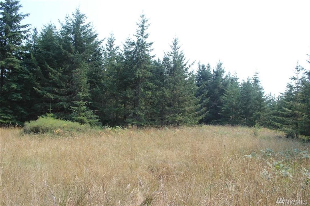 0-Lot 9 Ridgedale Rd - Photo 1
