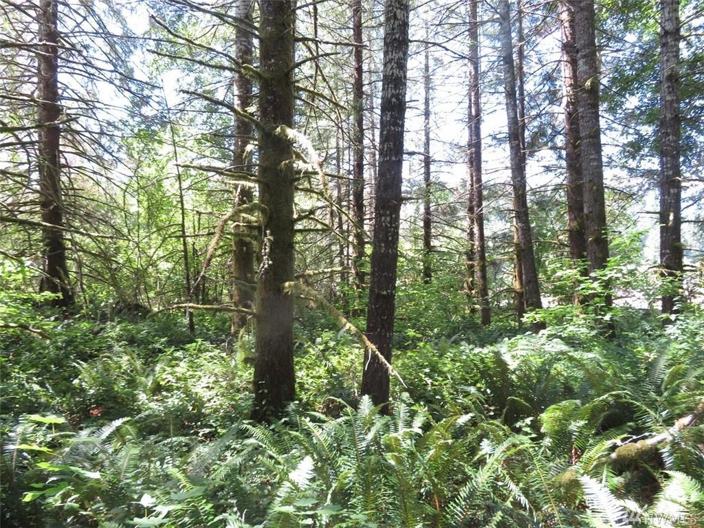 0-XXX Wildwood Rd - Photo 1