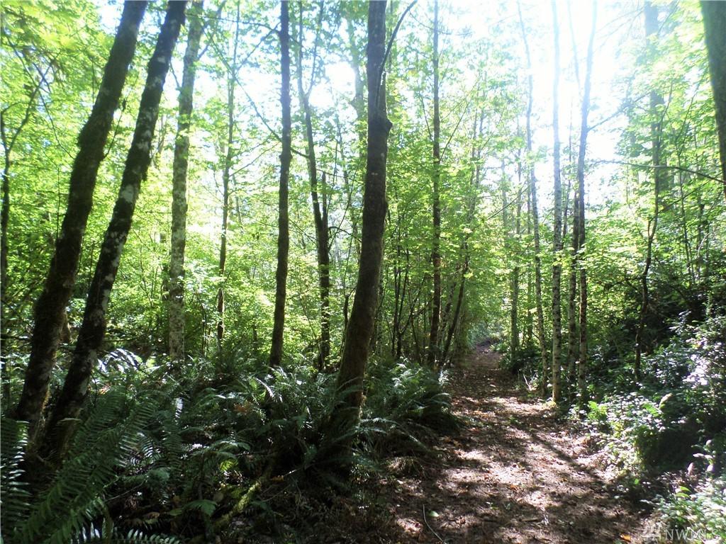 111 Beaver Drive - Photo 1