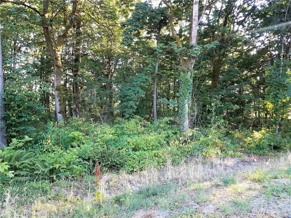 35423 55th Ave - Photo 1