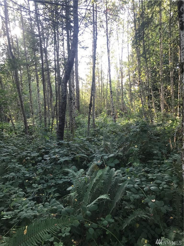 0 Wagner Rd - Photo 1