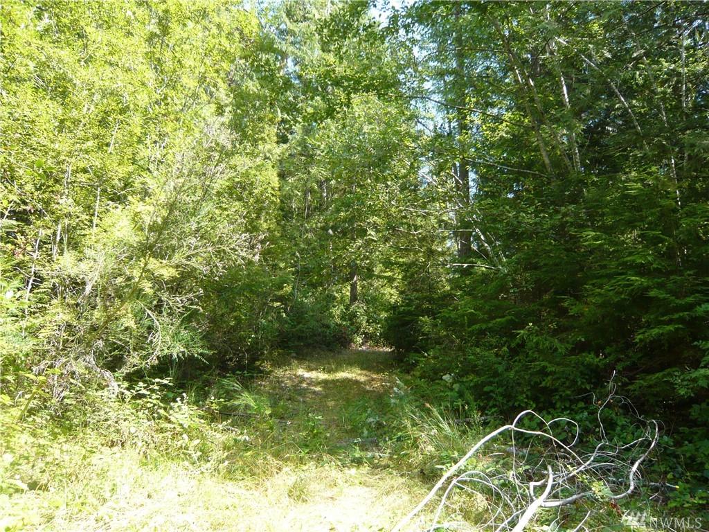 394 Woodpecker Dr - Photo 1