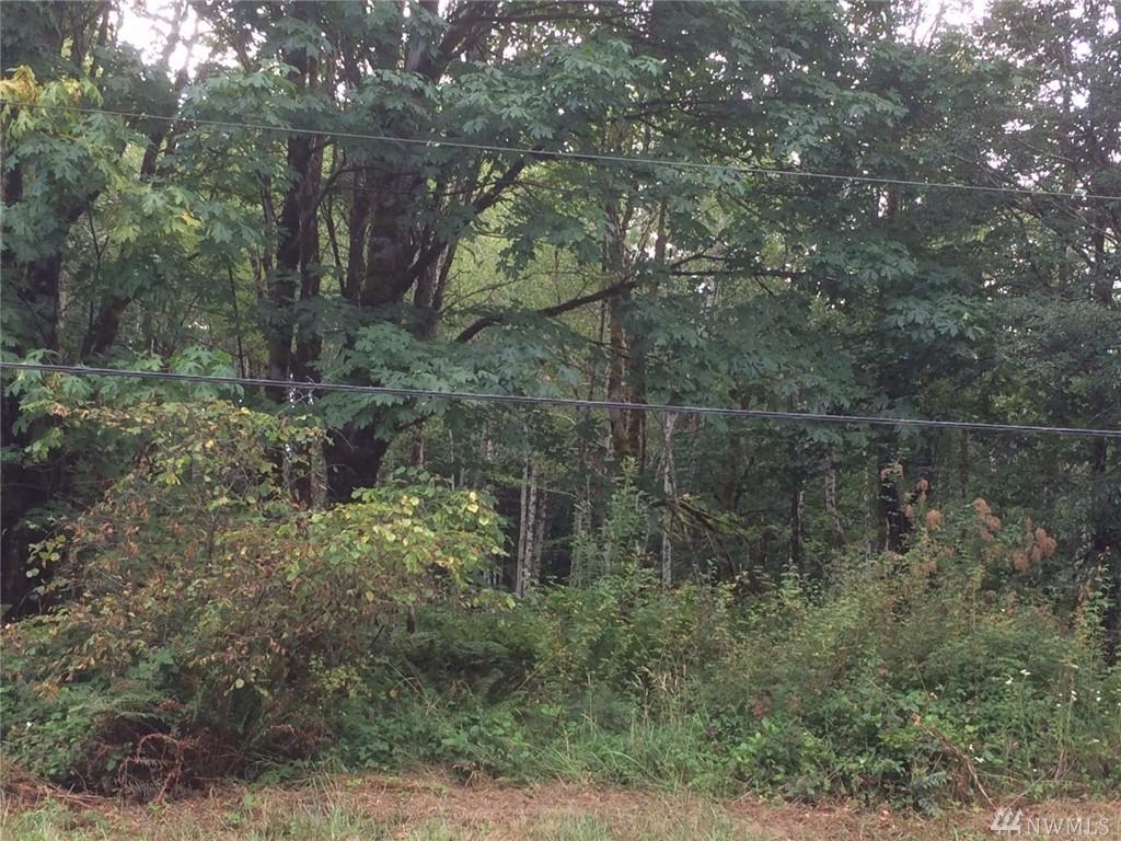7121 Boston Harbor Rd - Photo 1