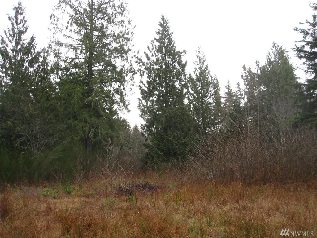 222-xx Wildlife Wy - Photo 1