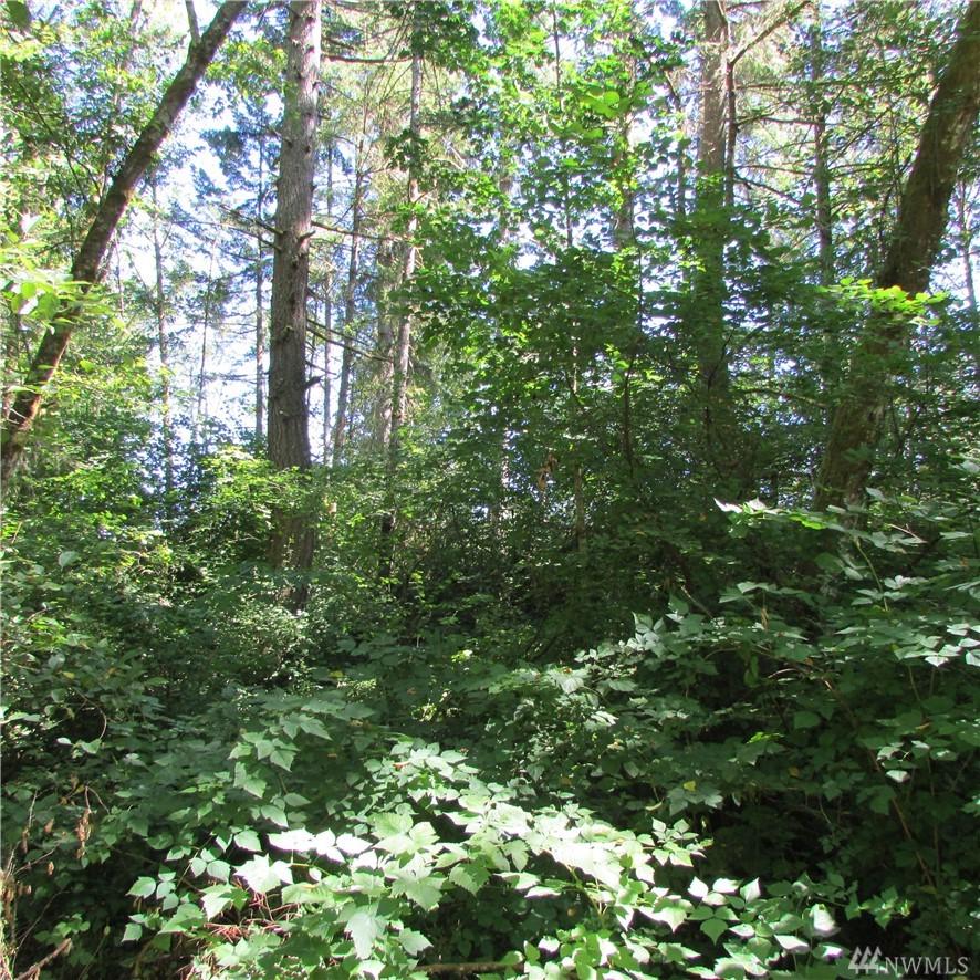 0-XXX 88th Av Ct - Photo 1