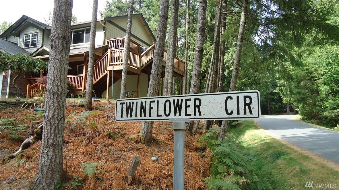 4 Twin Flower Cir - Photo 1