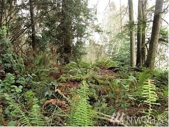 20878-XX President Point Rd - Photo 1