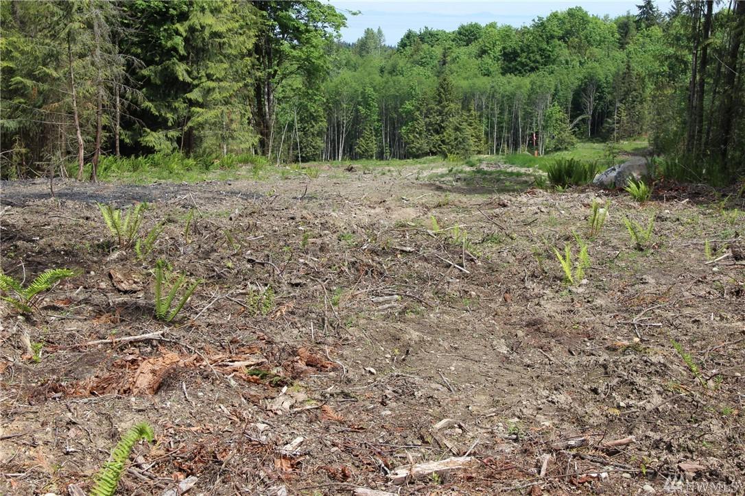 9999 Elk Run Trail - Photo 1