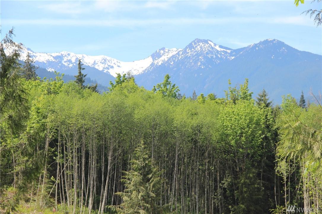 9999 Elk Run Trail - Photo 1