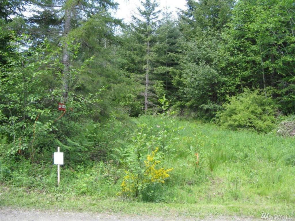 0-B8B Maddie Court - Photo 1