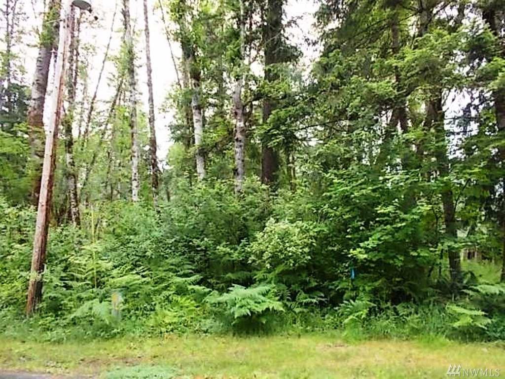 114 Paradise Dr - Photo 1
