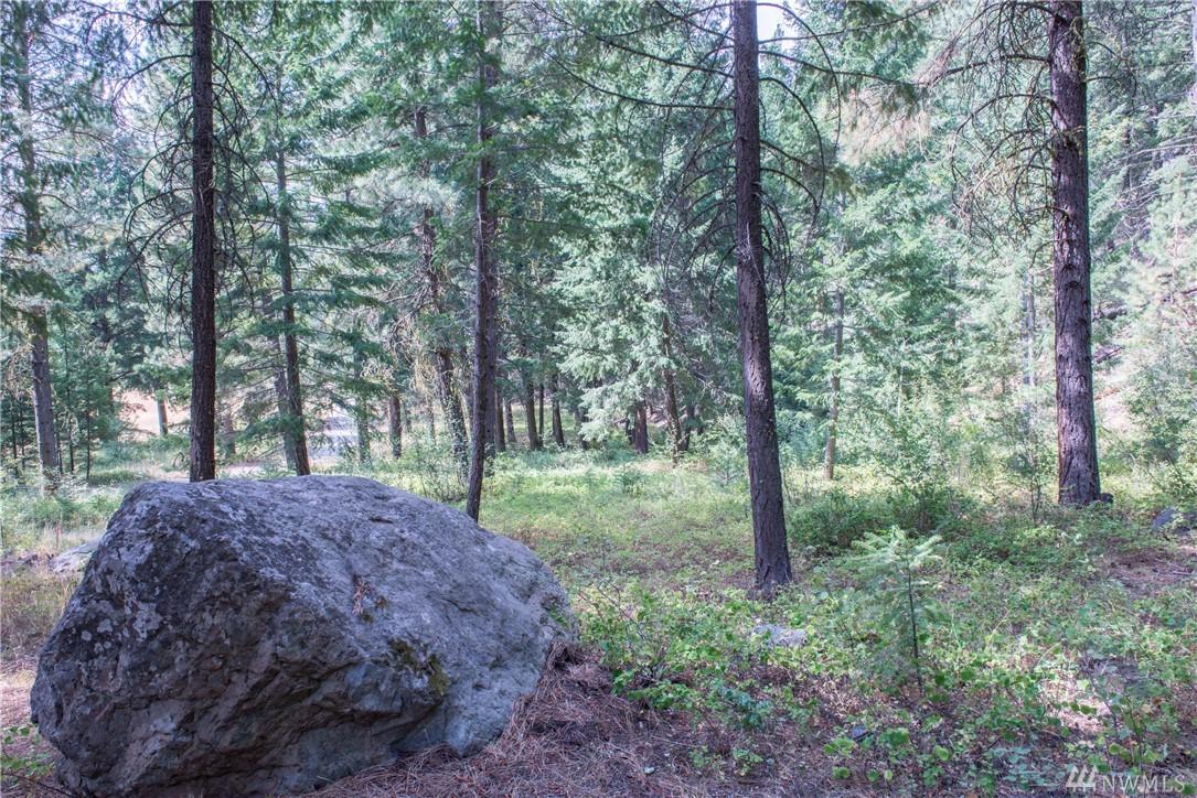 84 Chechaquo Ranch Rd - Photo 1