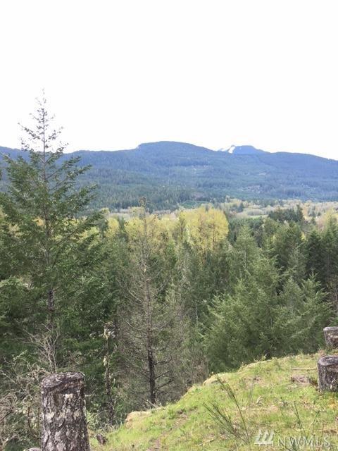 0 Alpine Dr - Photo 1